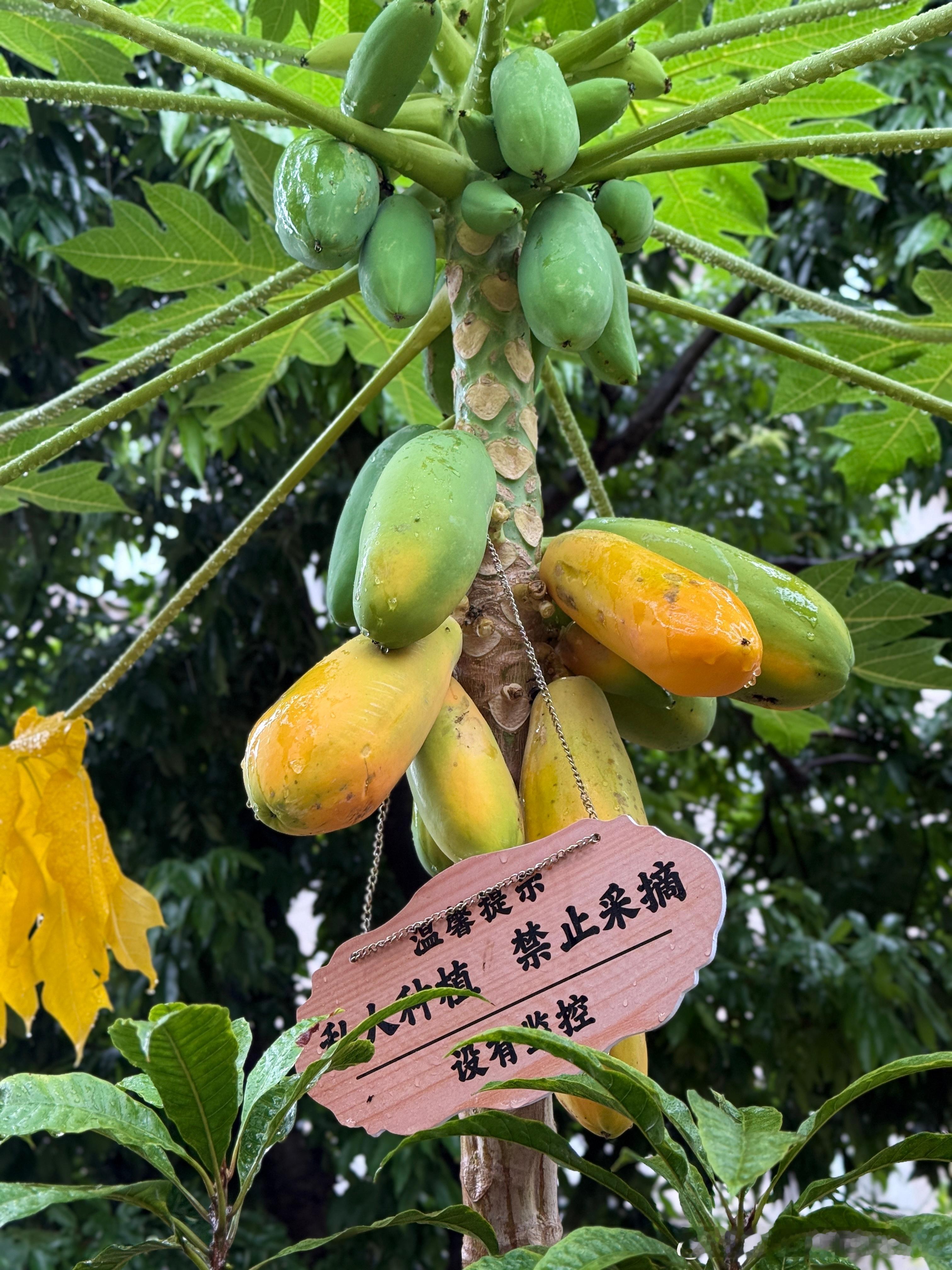 有没有人懂我今天被气得多崩溃。。。。