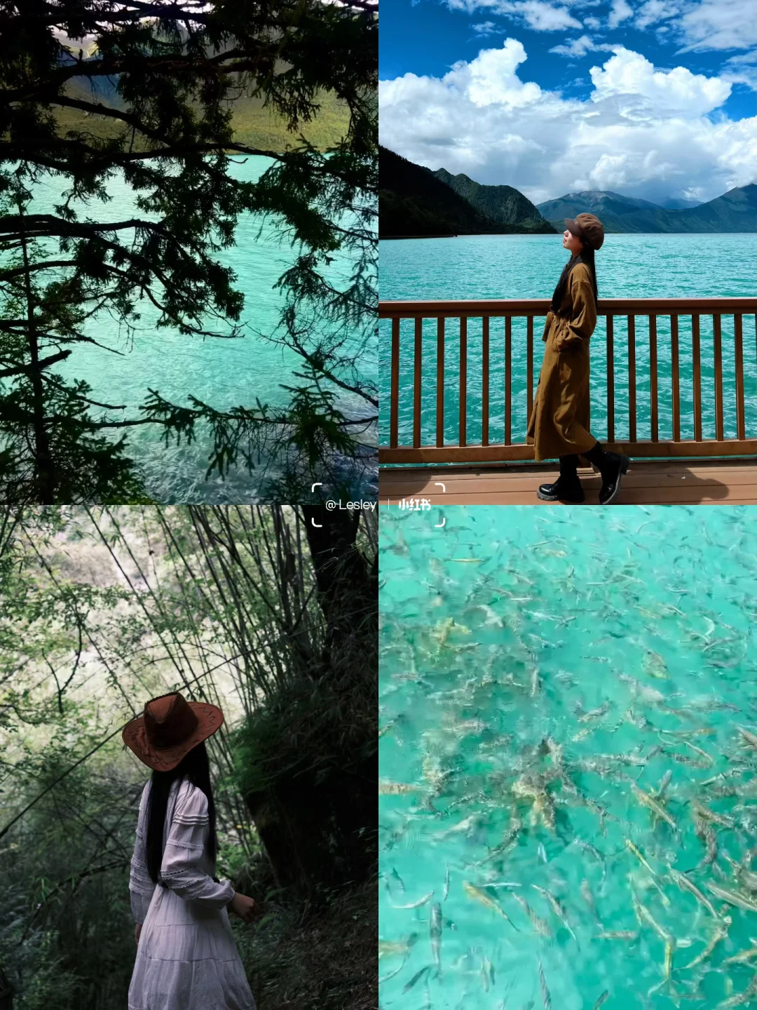 西藏林芝｜🌿果然是人间绿宝石巴松措