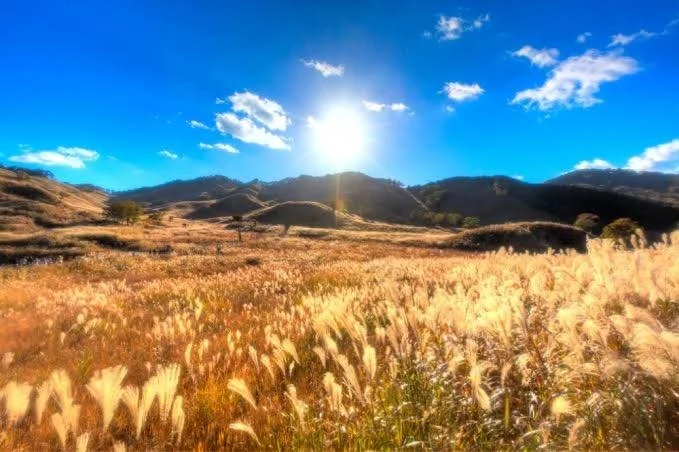 日本兵库县|带你实地感受村上春树情怀