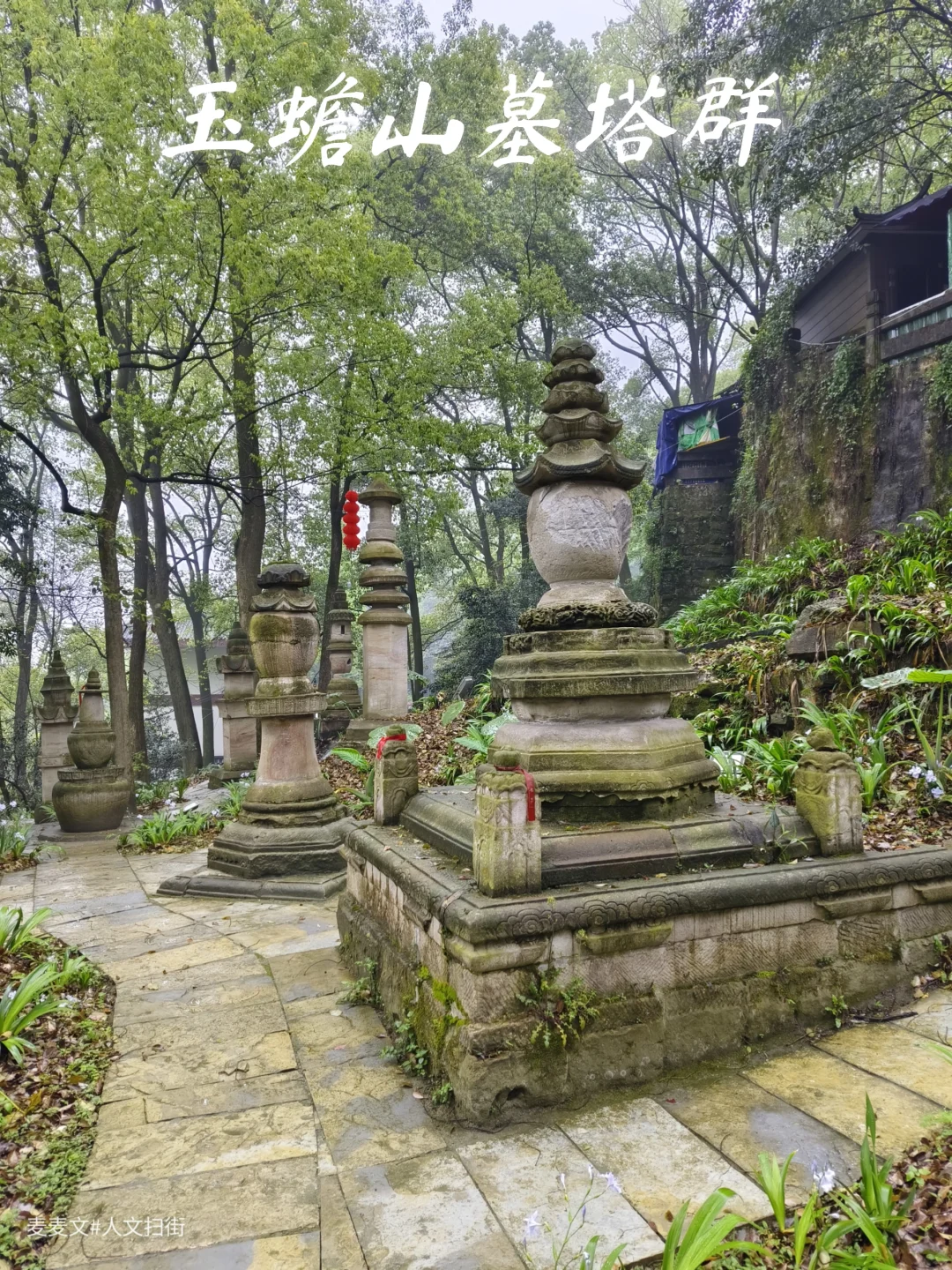 【泸县】被遗忘的千年墓塔群才是隐藏王者