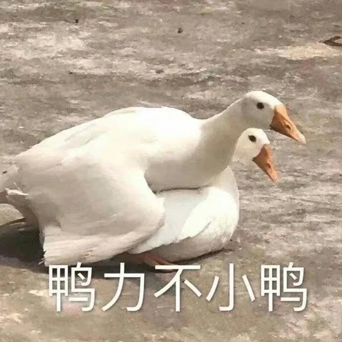 #手机涨价后6成网友倾向闲鱼等平台买老款##手机涨价你会买99新老款机吗# 换代带来的提升越来越有限，很多功能平时根本用不上，这种情况下，成色优秀的老旗舰吸引力就上来了。 ​
