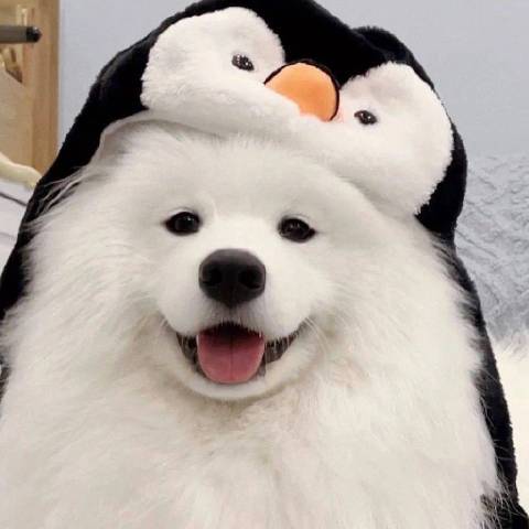 八边形摊饼