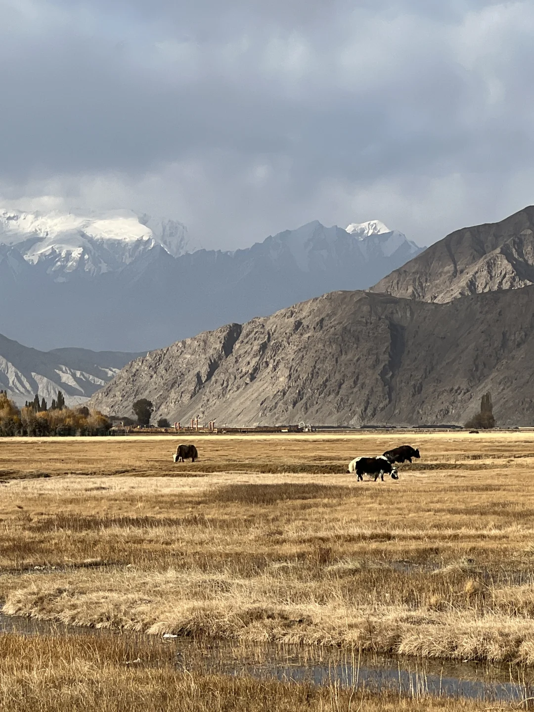 不去看世界哪来世界观，出发吧就现在‼️