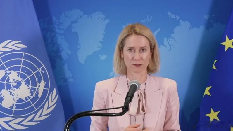 欧盟外交与安全事务高级代表卡娅·卡拉斯在联合国大会期间出席欧盟外长会议后，呼吁欧盟各国向也门胡塞武装发动实际攻击。卡拉斯表示，鉴于胡塞武装在曼德海峡的威胁日益加剧，目前用于“阿斯皮德斯行动”（Operation ASPIDES）的力量不足，应该派遣更多海军舰艇和飞机。 ​​​