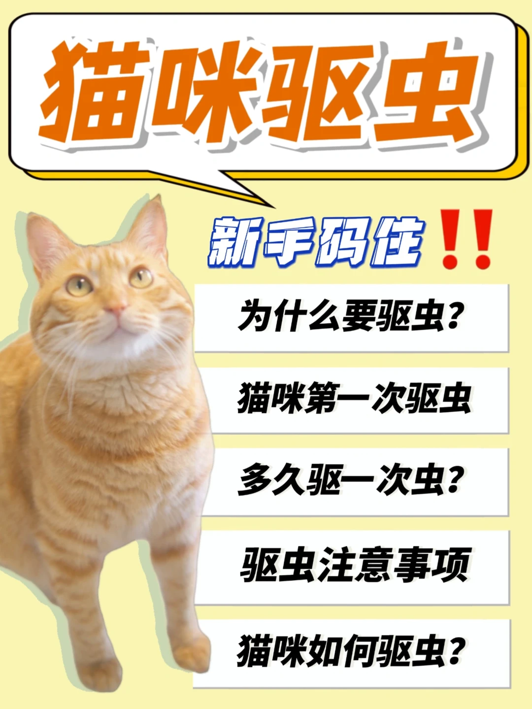 猫咪驱虫干货❗️一篇学会