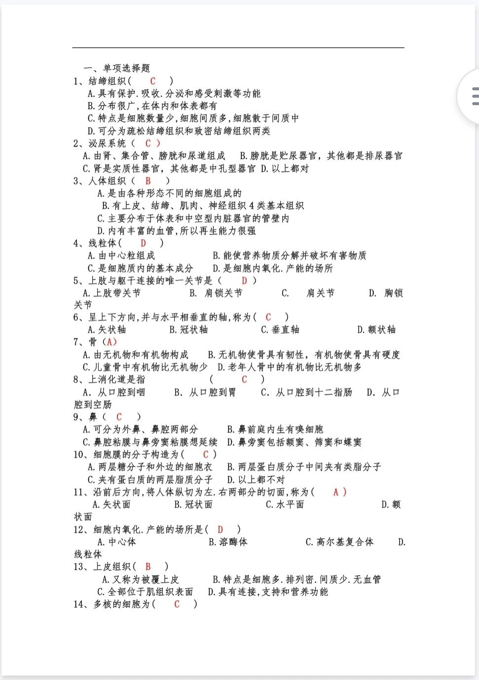 运动解剖学期末复习🔥