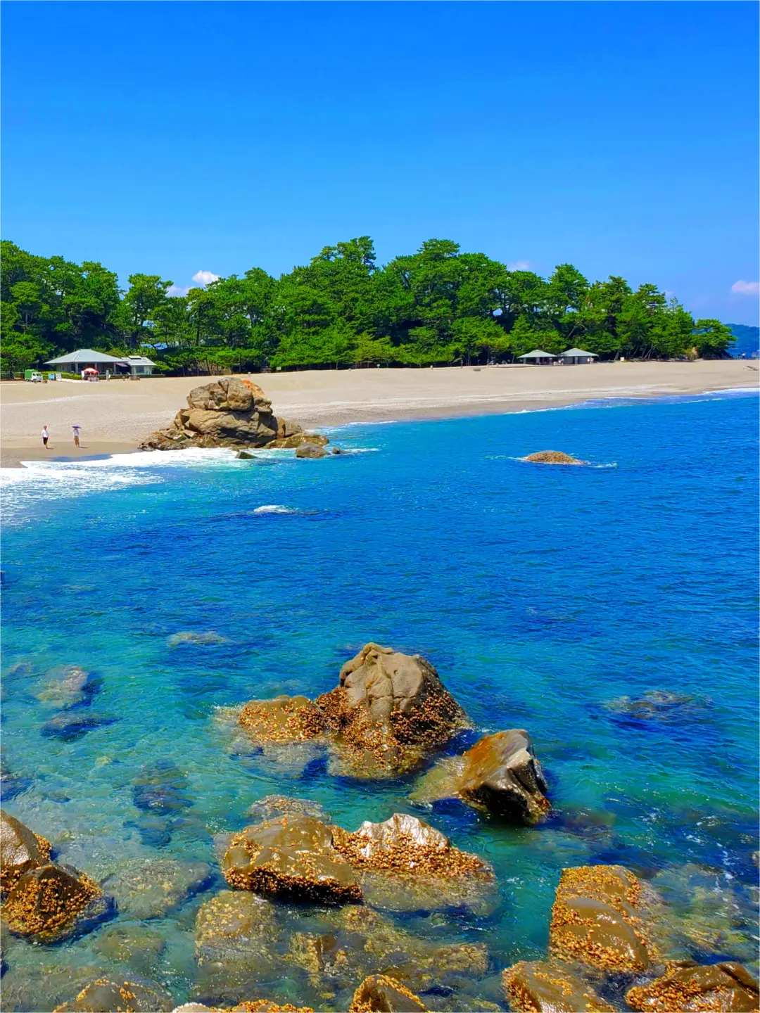 日本高知丨上班族的海边度假胜地