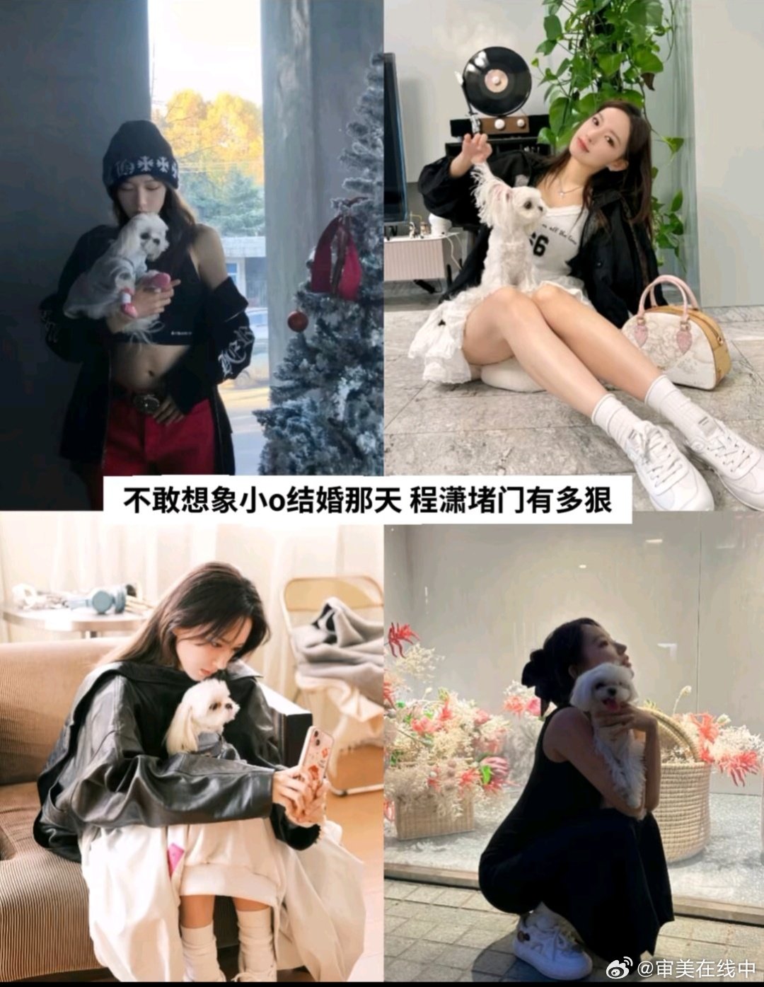 #程潇[超话]# 不敢想象小o结婚那天程潇堵门有多狠#娱乐# ​