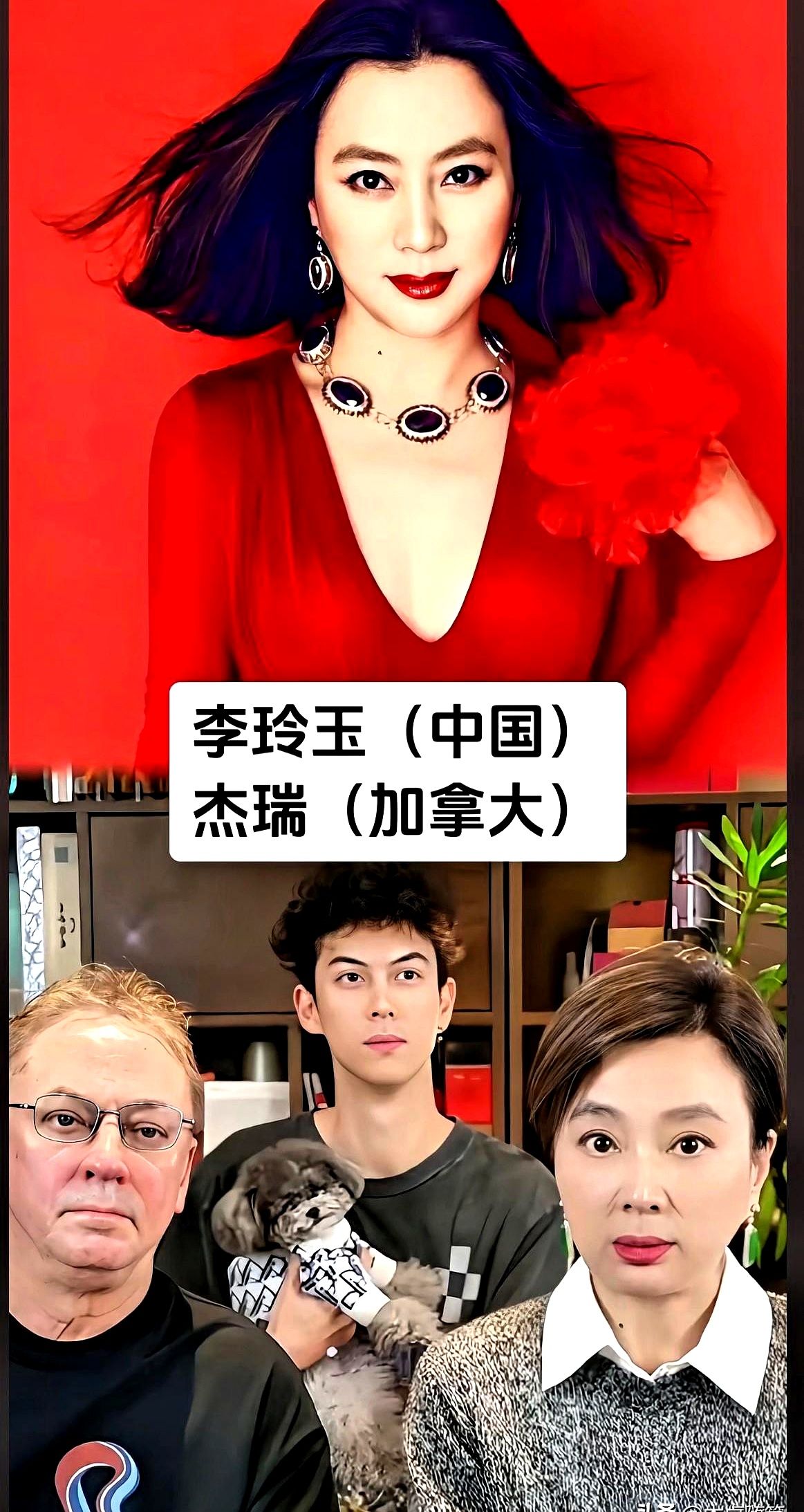 当年风头正劲选择远嫁海外，真能换来想要的安稳？

大红大紫时嫁去异国，李玲玉、韦唯、张曼玉在文化差异和语言隔阂里摔过跤，有的甚至黯然散场。但史可、马雅舒、莫文蔚、龚琳娜、巩俐和林志玲，同样是跨国结合，如今各自的境遇却大不相同。

撕开异国恋的滤镜，日子终归要落实到柴米油盐和思维观念的撕扯上。有人磕磕