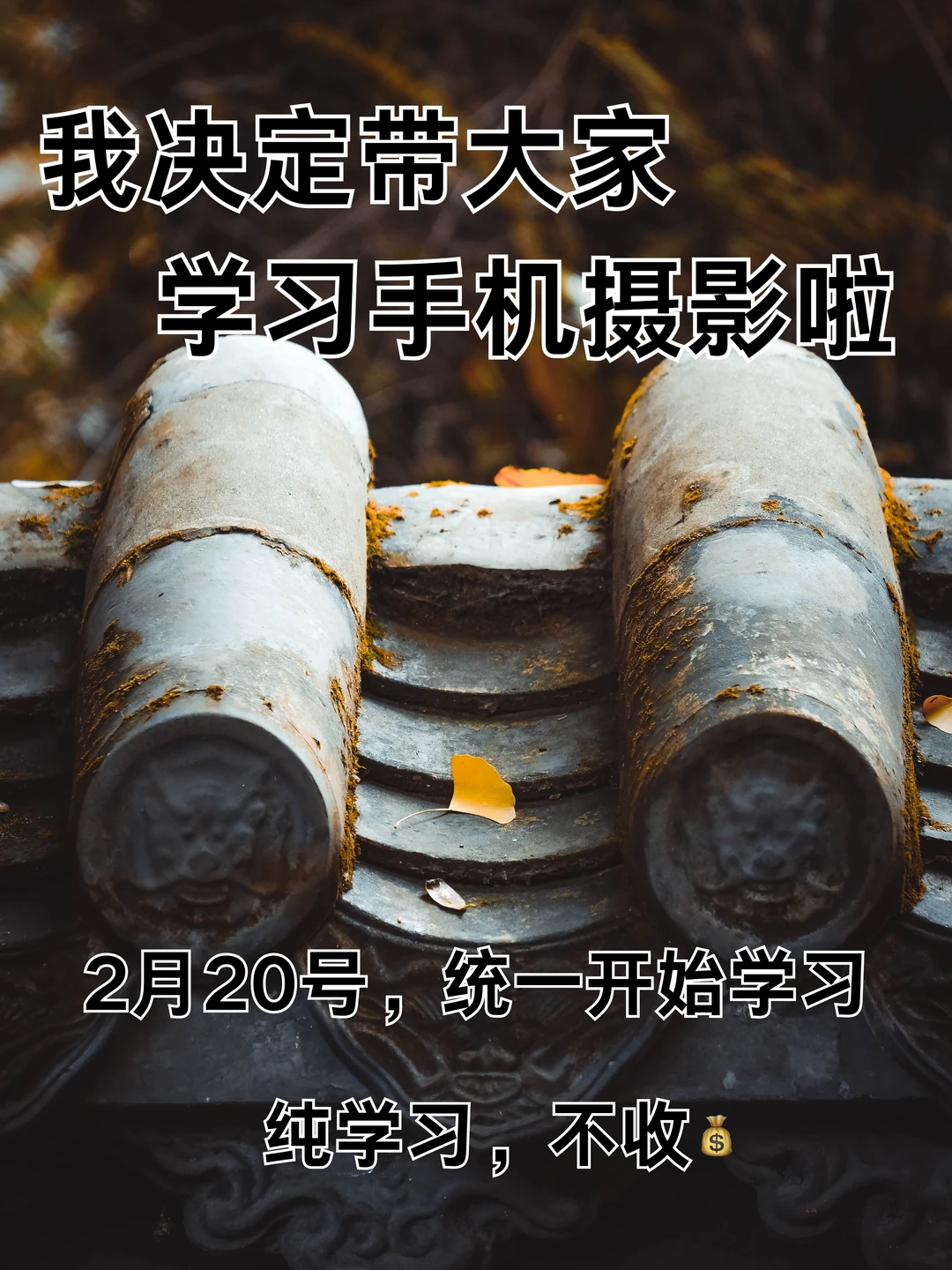 我决定带大家学习手机摄影啦！！