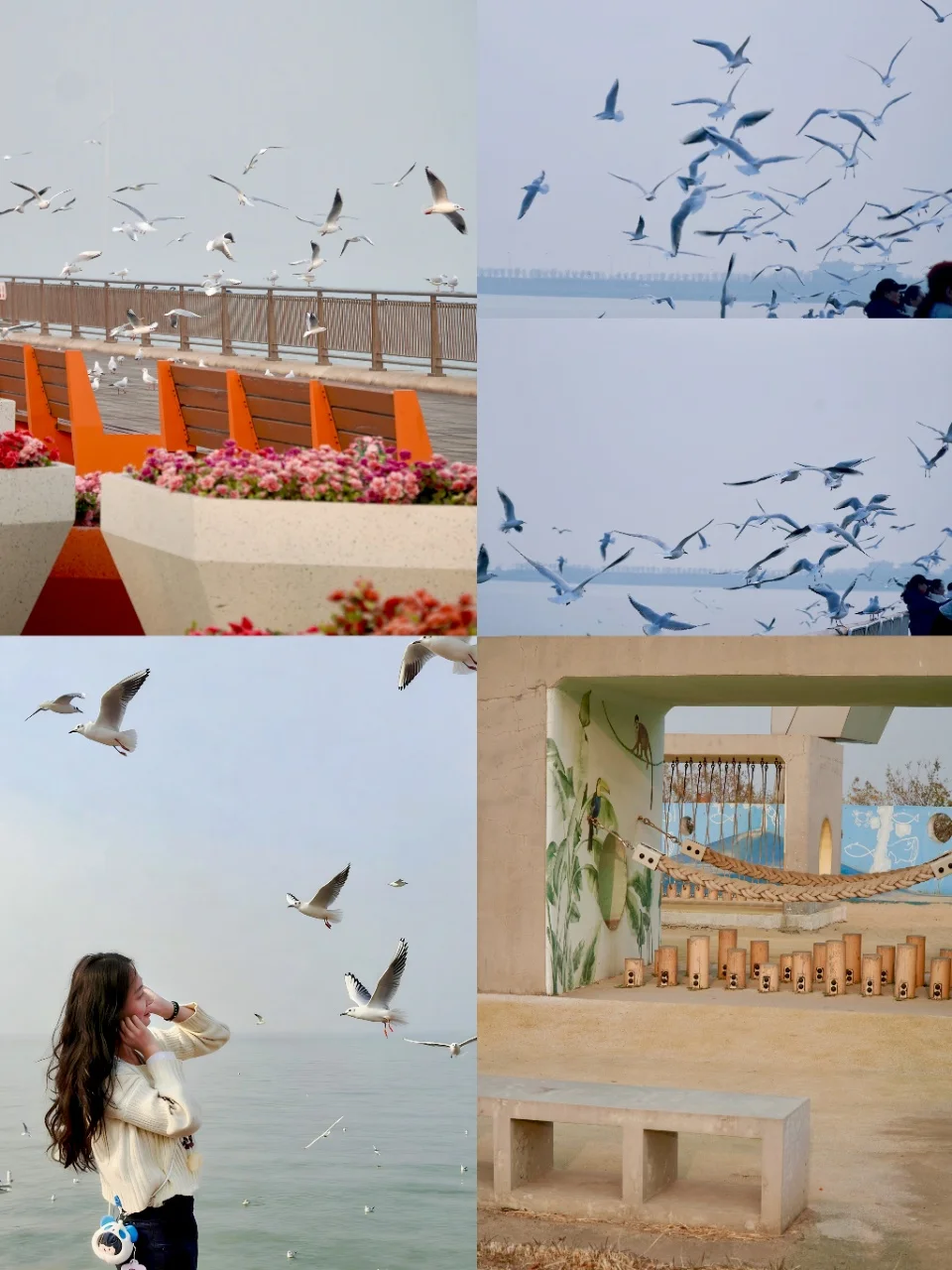 北京出发1.5h，东疆湾嗨玩看海鸥🐦