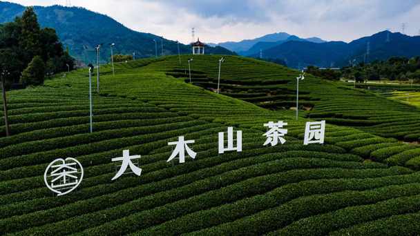 开理想进松阳，才懂“最后的江南秘境”不是虚名。杨家堂的夯土房在夕阳下像金色阶梯，陈家铺的悬崖书店安静得只剩翻书声。盘山窄路有窄路HUD和360环视托底，会车不慌，魔毯悬架把颠簸滤得干净，进山这件事本身就变得从容。在茶园边停下来，看村民晒笋干、廊下闲谈，把“待办事项”切换成看云、发呆。乡野的美好，大概就是时间终于肯慢下来。#理想家用SUV怎么选#去乡野过两天理想生活 #乡村漫游 #理想l9