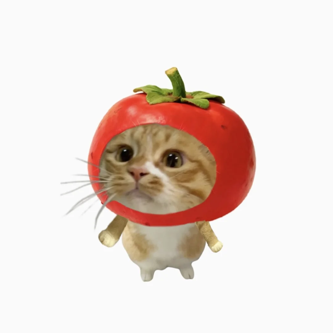 头像｜蔬菜小猫🥬