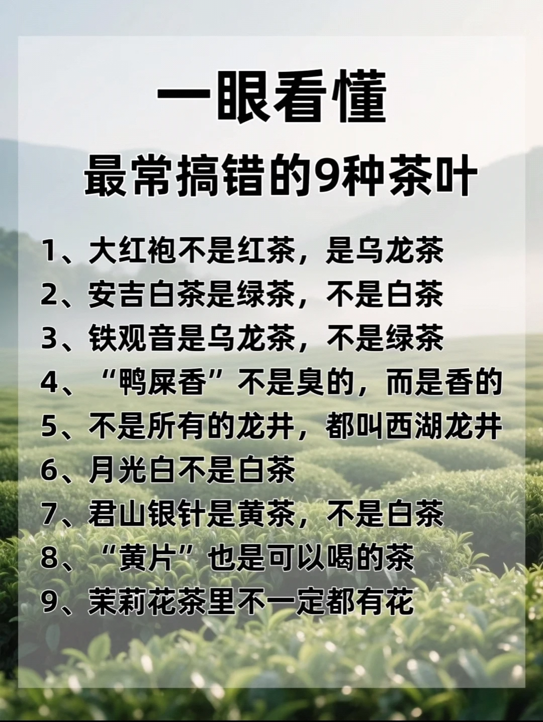 最容易搞错的9种茶叶，你知道吗？