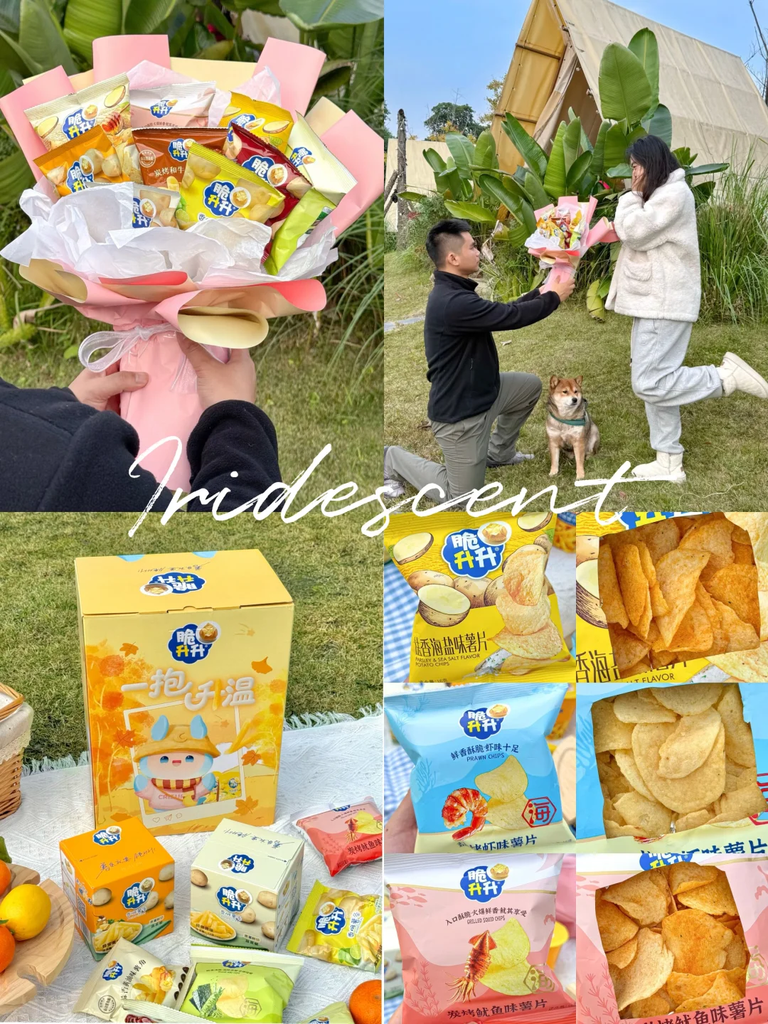 冬天第一束花｜脆门不能拒绝的脆升升花