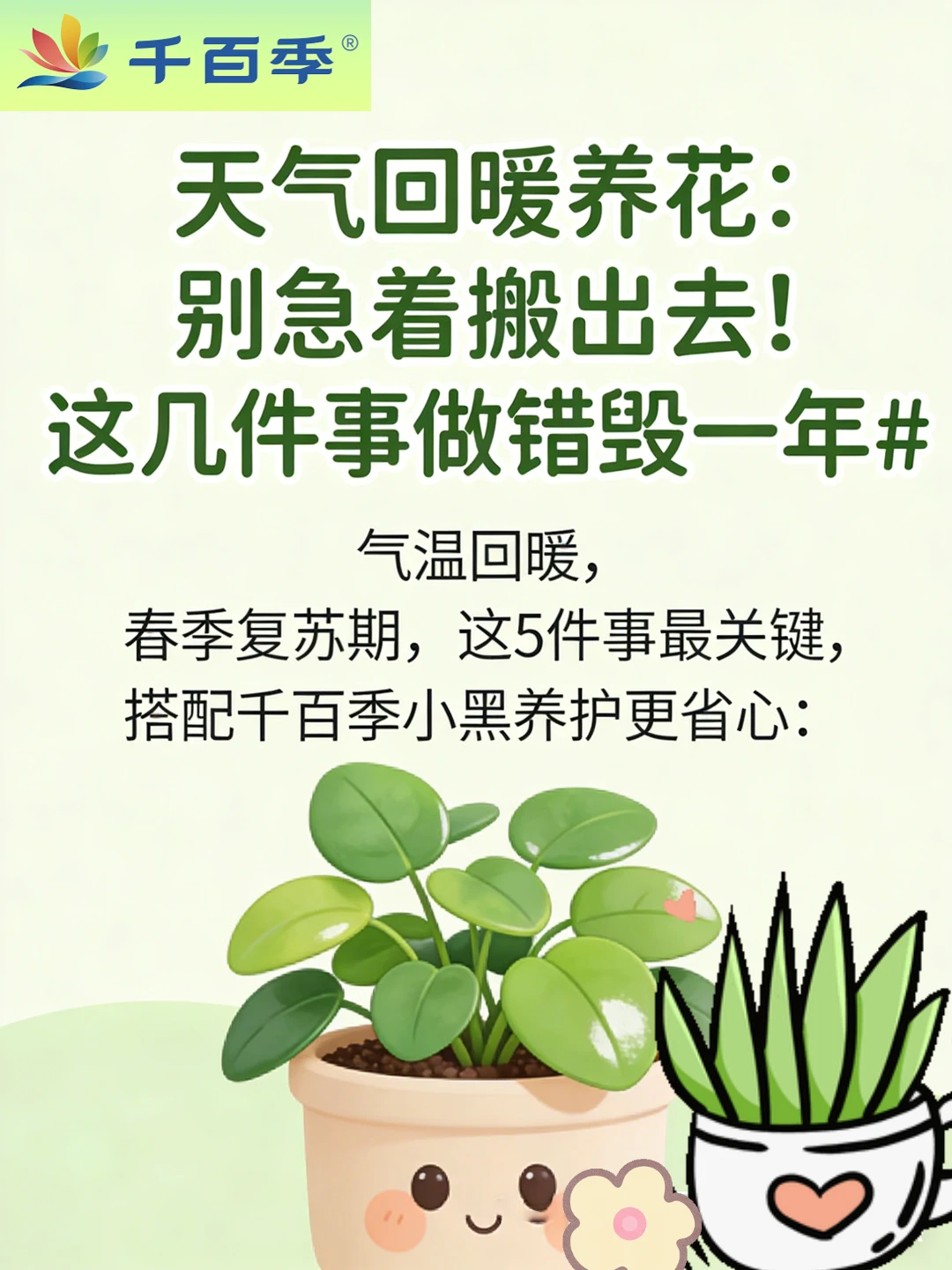 天气回暖养花：别急着搬出去！