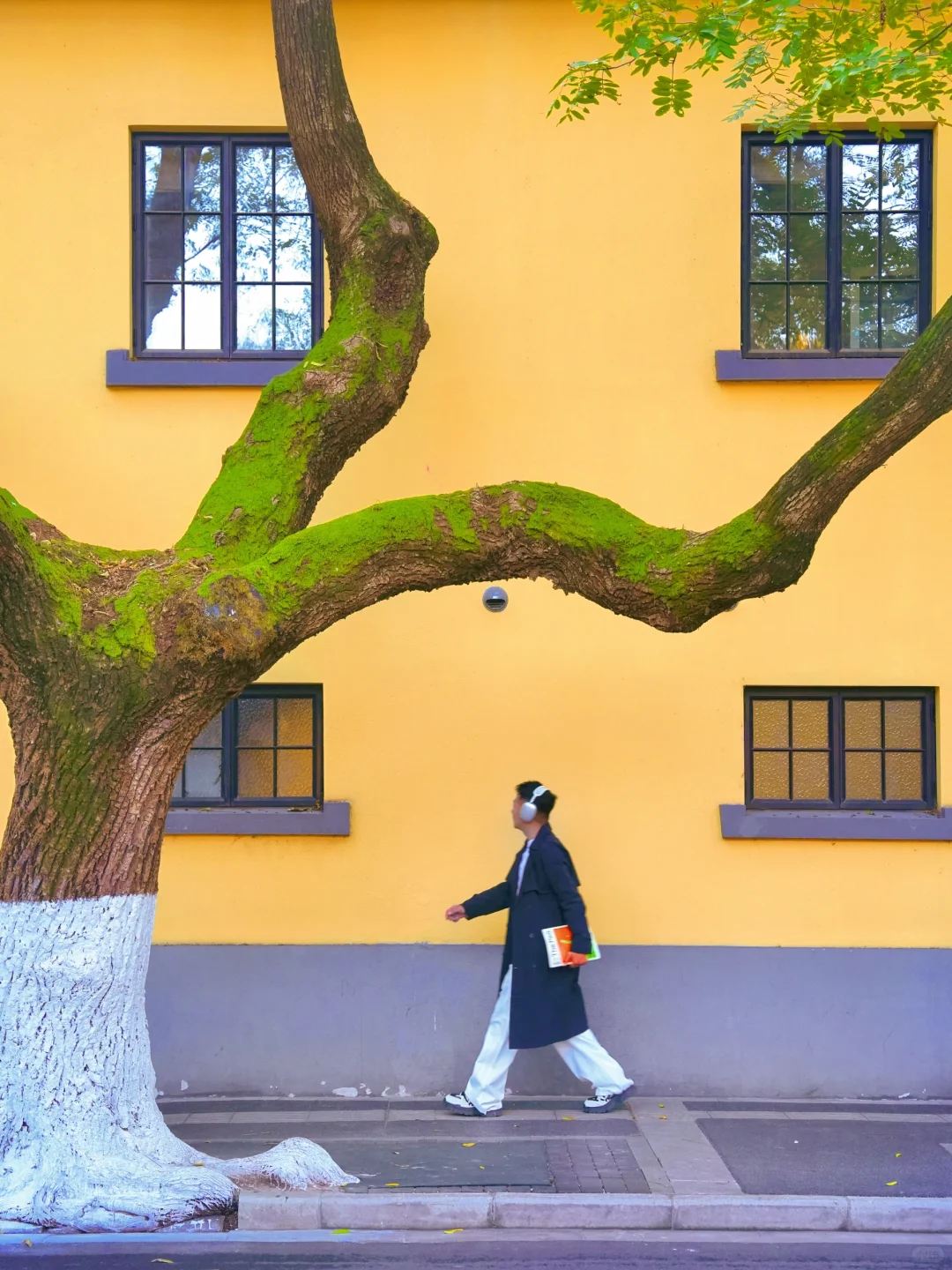 去南京拍完这❶❽张图再离开‼️附机位&路线