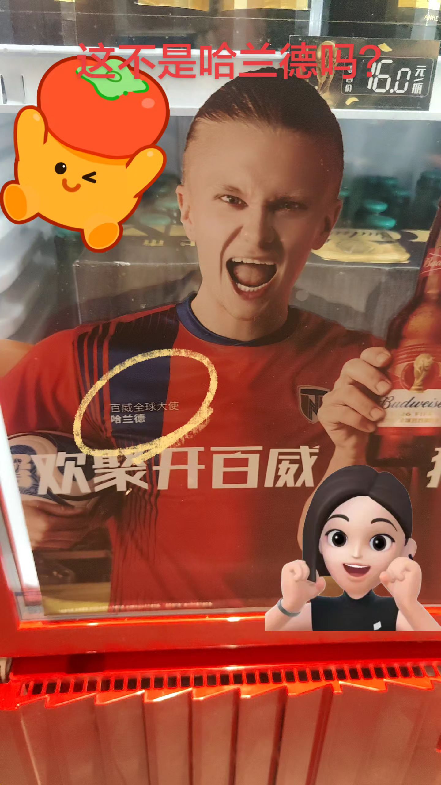 关于哈兰德。