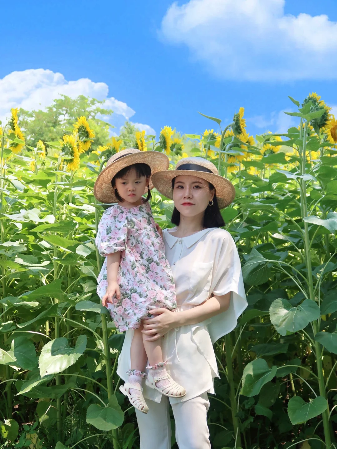 北京奥森免费向日葵花海🌻超美，赶紧去拍