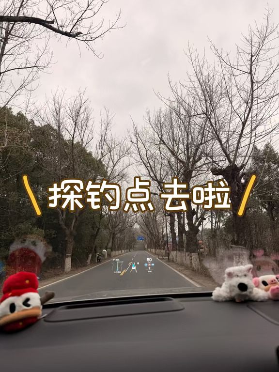 钓鱼佬们都出动了吗？探钓点去啦
