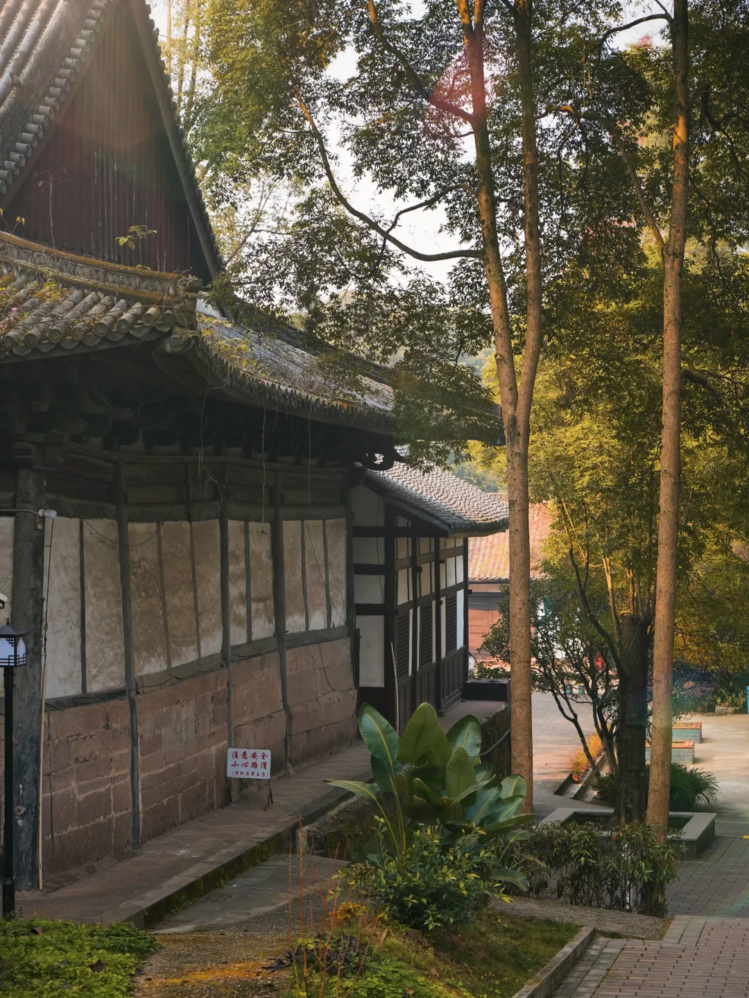 2元公交直达的宝藏寺庙！壁画太惊艳了！