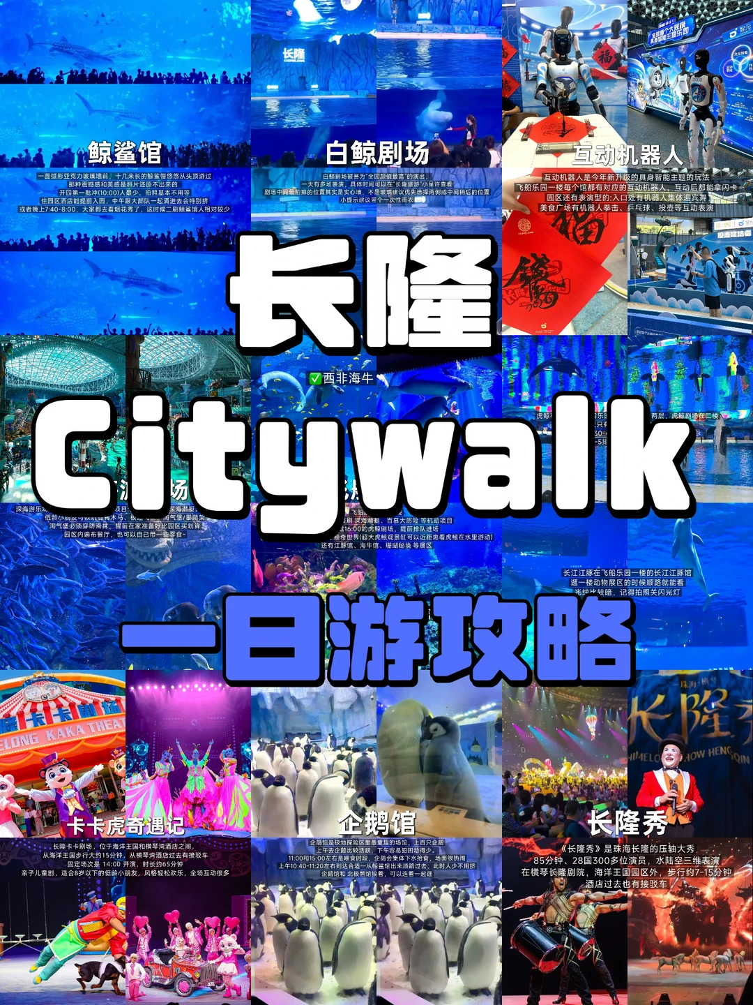 江浙2小时直达‼️珠海长隆秋假3天2夜攻略