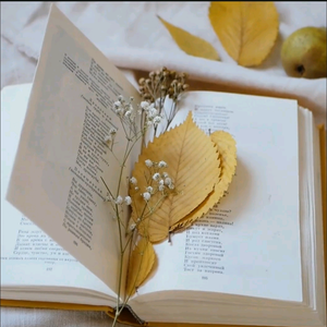 平平姐带你看历史