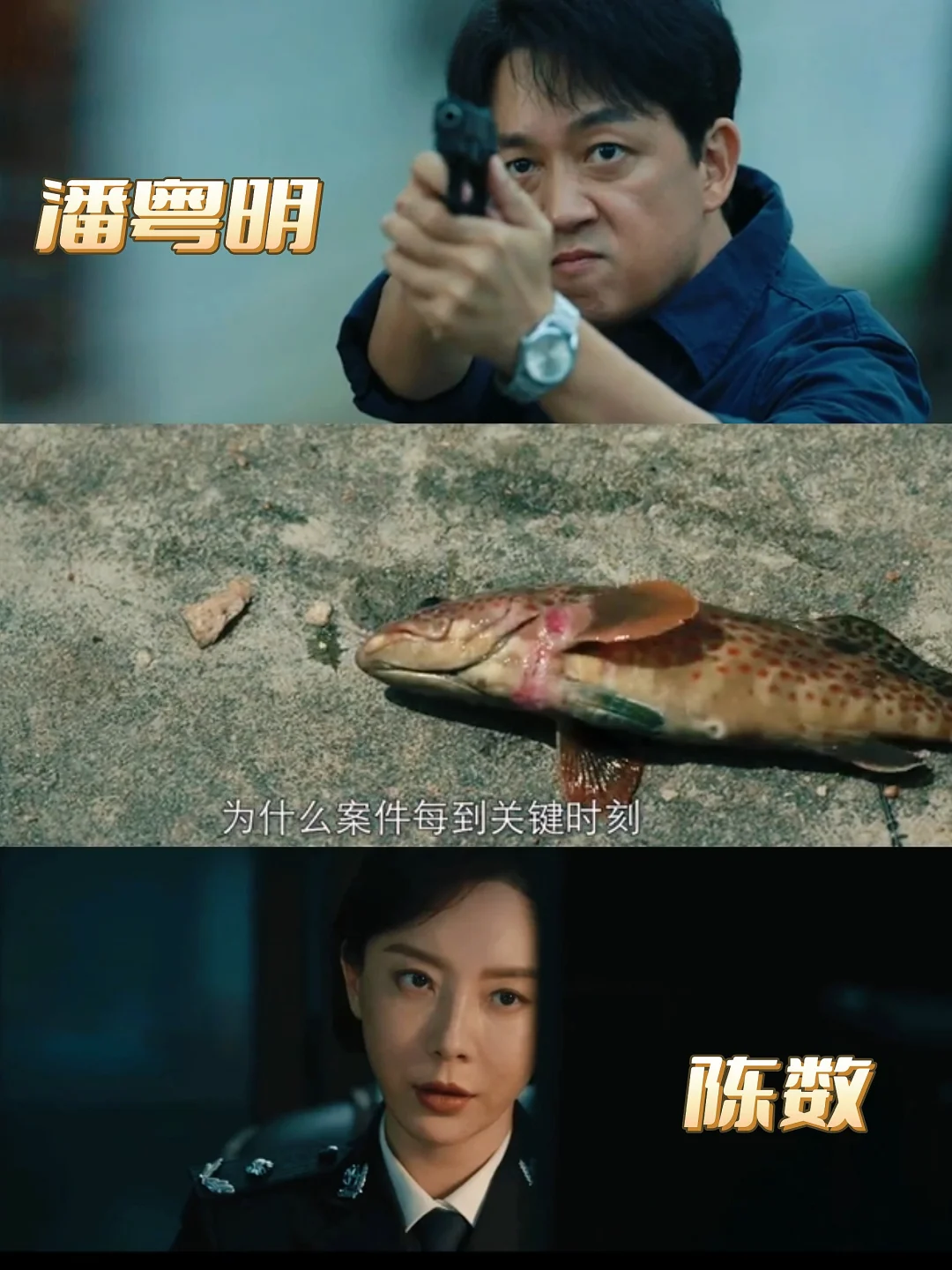 终于开播了‼️王炸悬疑剧‼️这阵容绝了