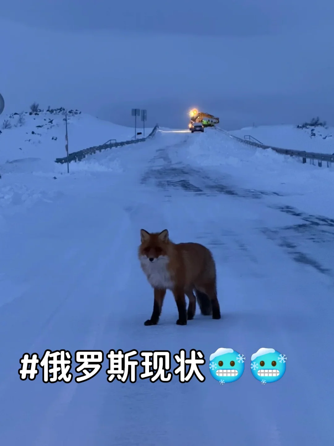 1224📍俄罗斯现状，近期想来的请慎重