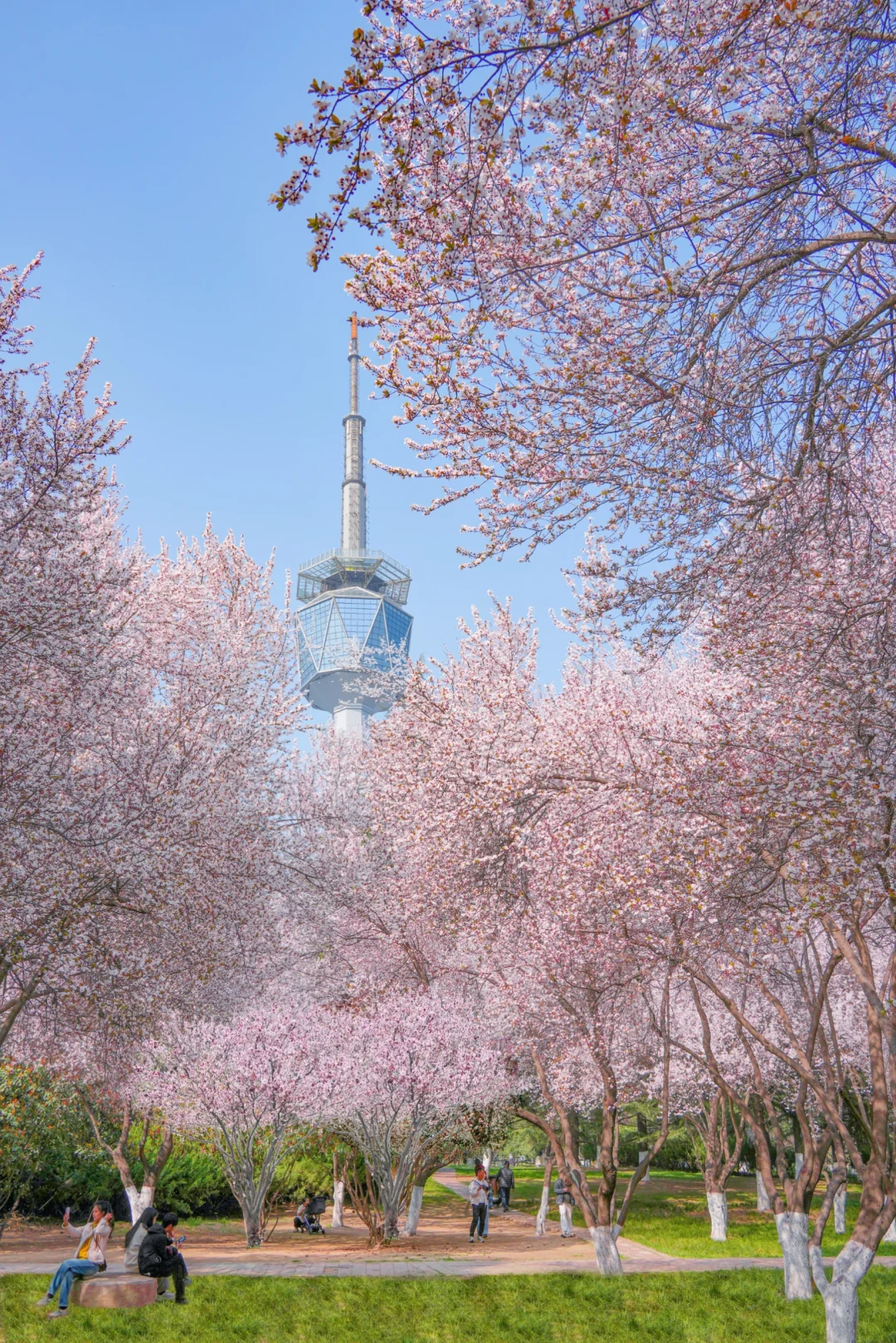 卧槽卧槽！！西安人的北海道…太震撼了
