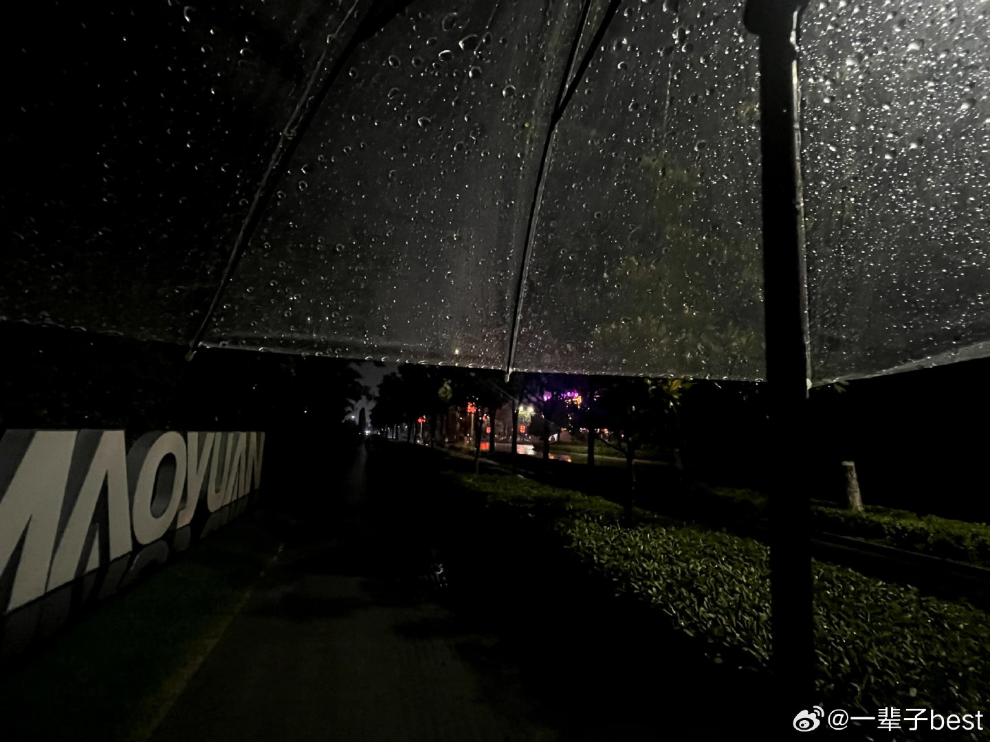 “下雨天我连虚线实线都看不清楚，
          你让我隔着肚皮看人心，别那么瞧得起我”#荣耀##荣耀magic9# ​