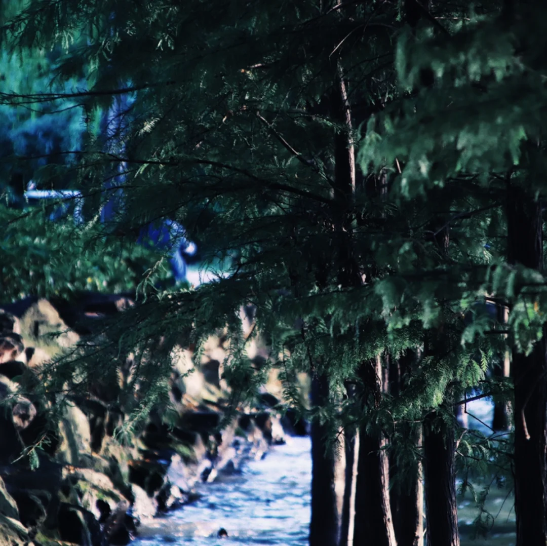 白鹭园太爱了！！！