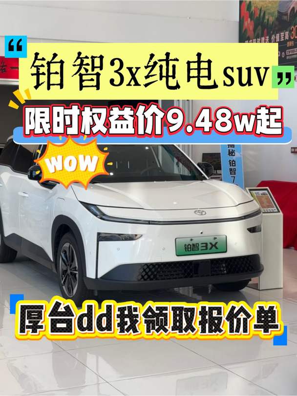 铂智3x十万级纯电 SUV