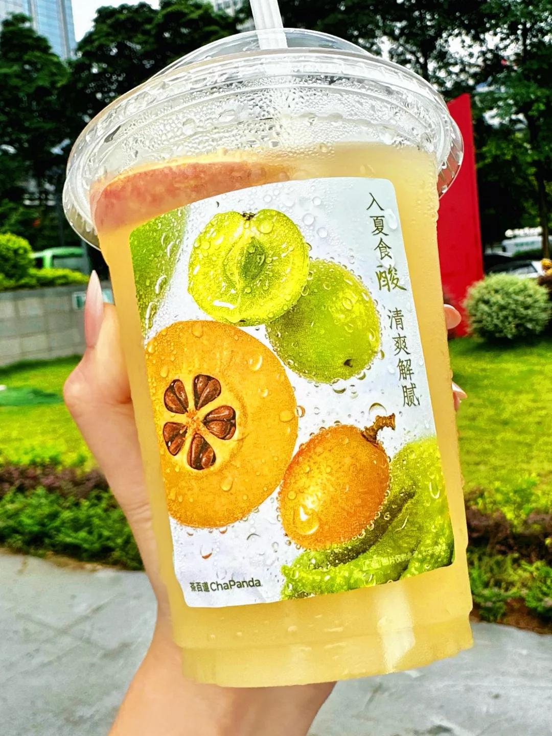茶百道竟然出了液体酸嘢酸！疯狂分泌口水。。。