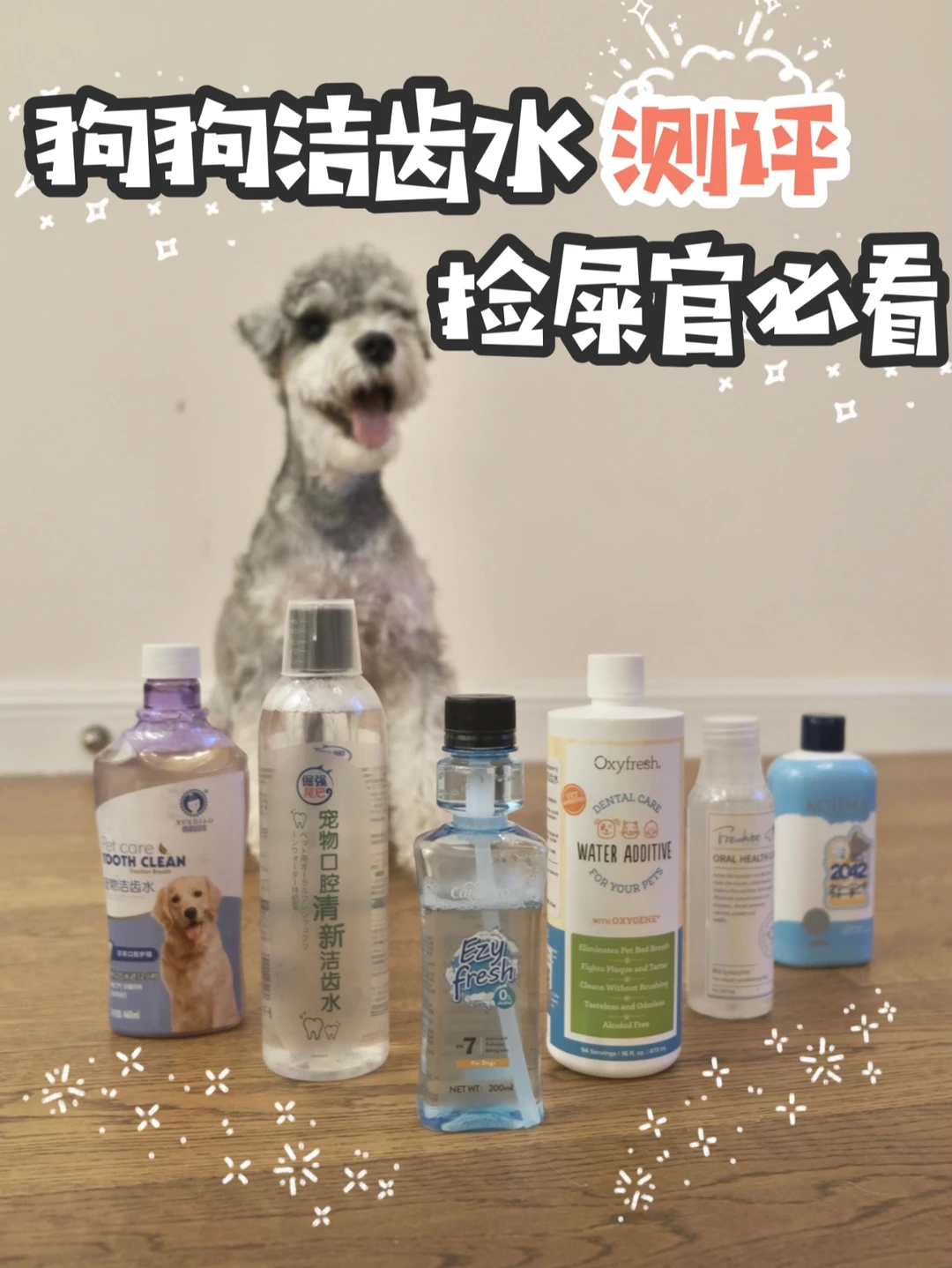 狗洁齿水测评💕重视口腔健康🐶捡屎官进