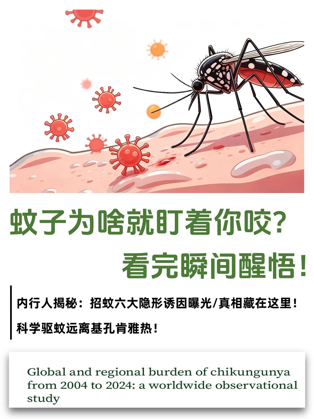 O型血招蚊是骗局❗蚊子盯上的是这6种人❗
