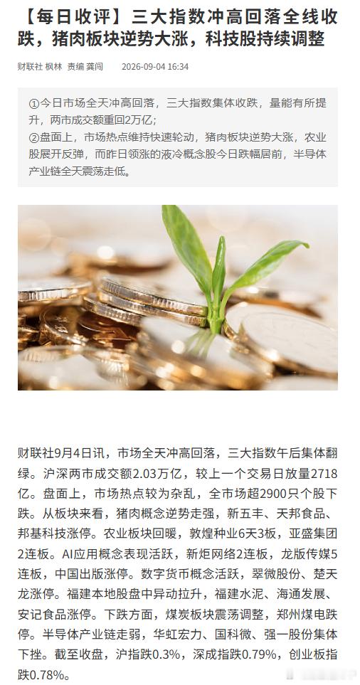 #两市成交额重返2万亿##AI应用持续走强#【每日收评：三大指数冲高回落全线收跌，猪肉板块逆势大涨，科技股持续调整】财联社9月4日讯，市场全天冲高回落，三大指数午后集体翻绿。沪深两市成交额2.03万亿，较上一个交易日放量2718亿。盘面上，市场热点较为杂乱，全市场超2900只个股下跌。从板块来看，猪 ​