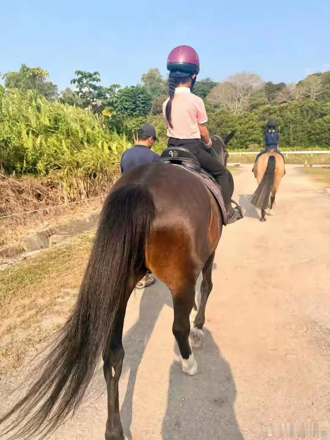 方媛晒新加坡全家福，一家五口首露正脸，颜值超高超养眼 ​