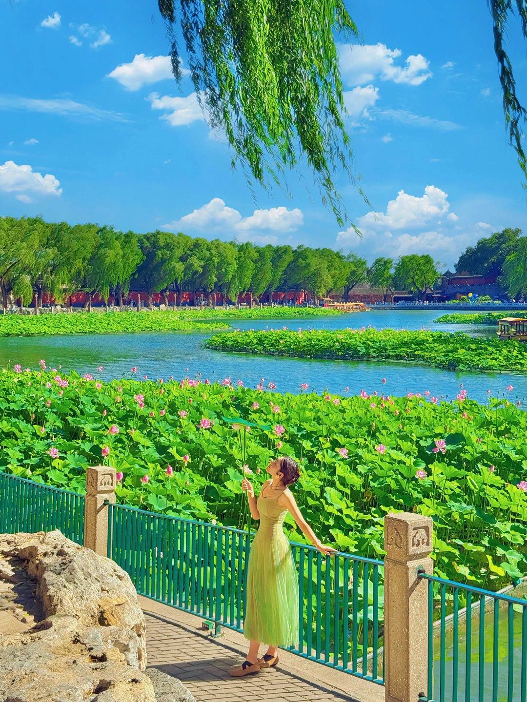 北京！谁能不爱北海公园的夏天 ！附赏荷路线
