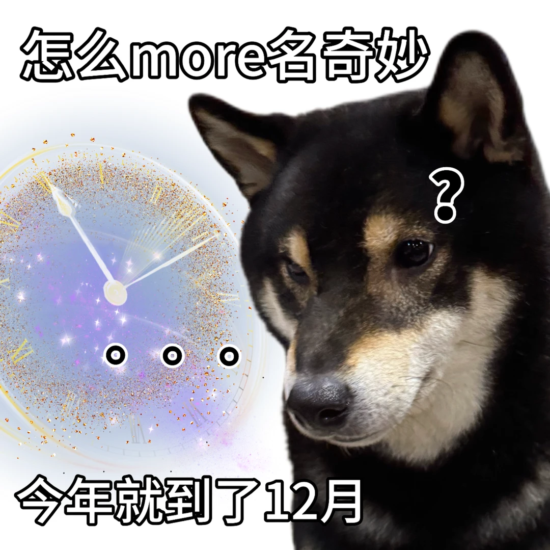 how家伙，一年又混过去了，我好厉hi