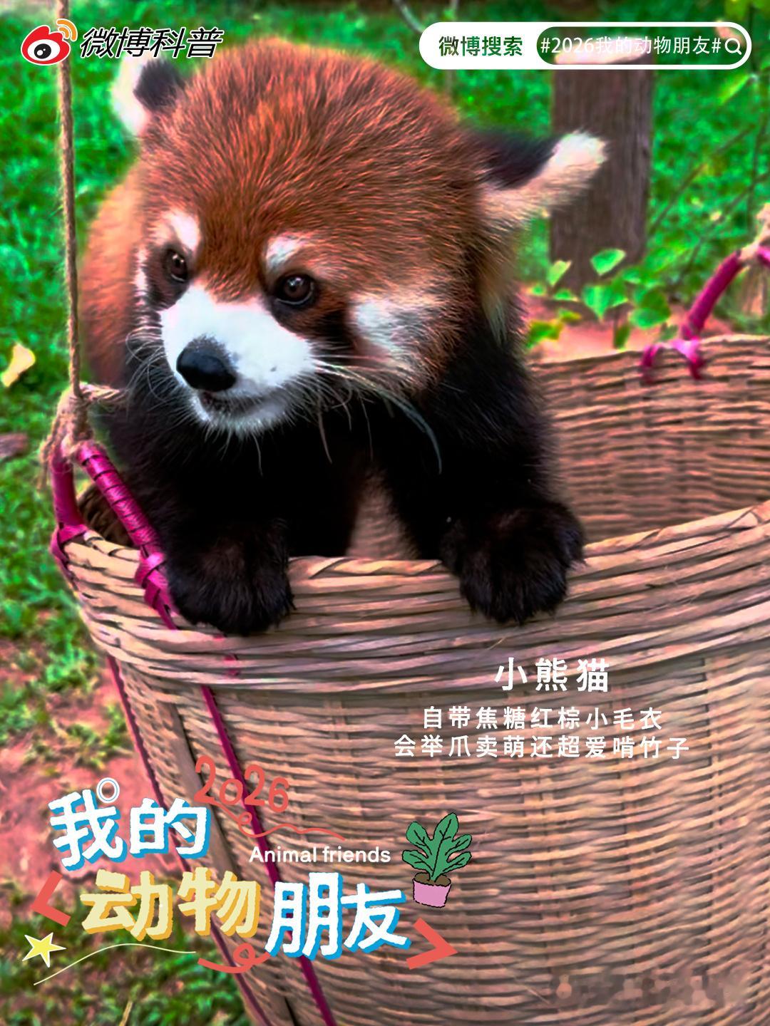 宝藏精选第四十五期 自然藏着数不尽的温柔与惊喜，蝴蝶吸水的生存智慧、城...