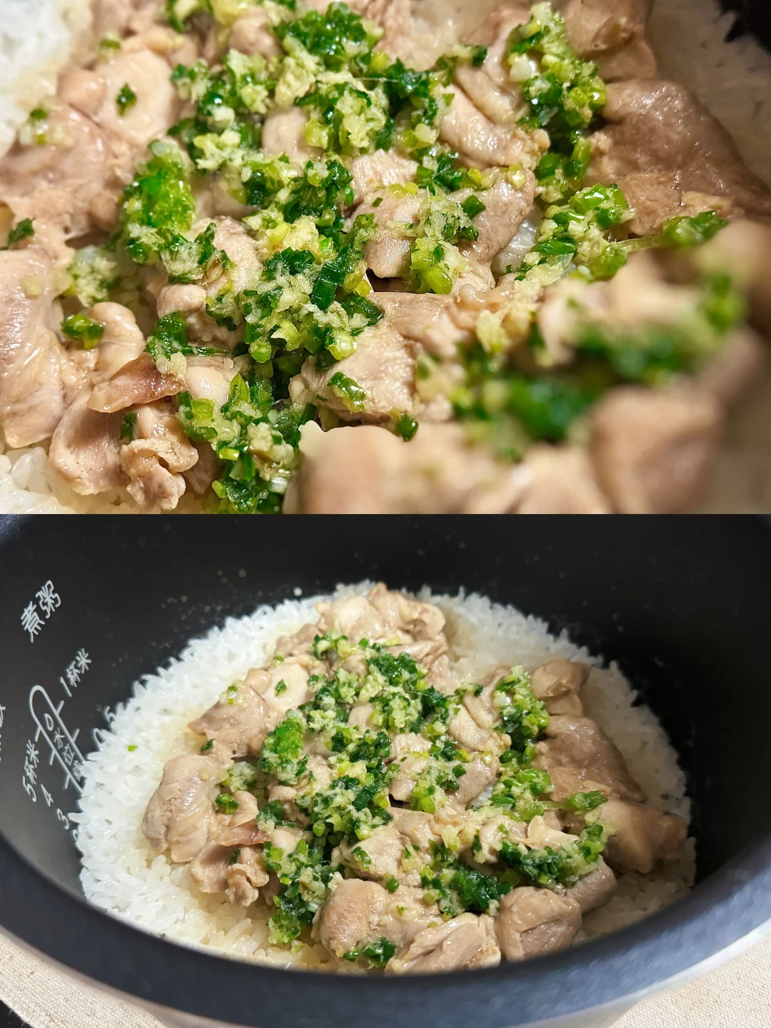 简单吃点🥢｜第N+1次的电饭煲🍚葱姜鸡腿🍗