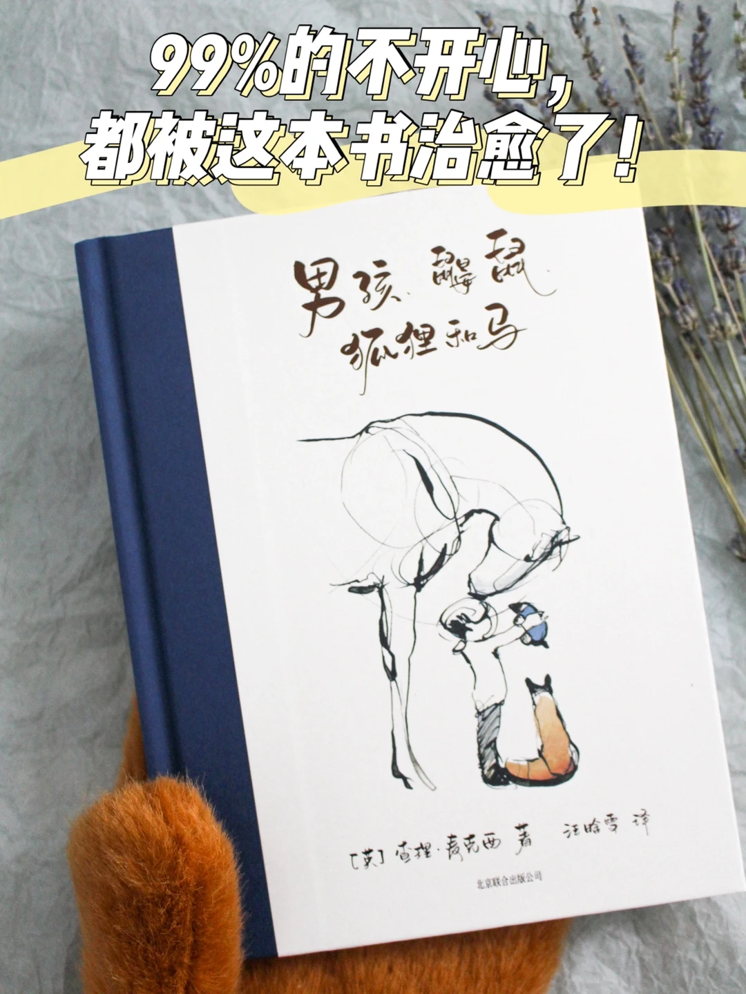 豆瓣9.0 | 这是我今年读过最暖最治愈的书！