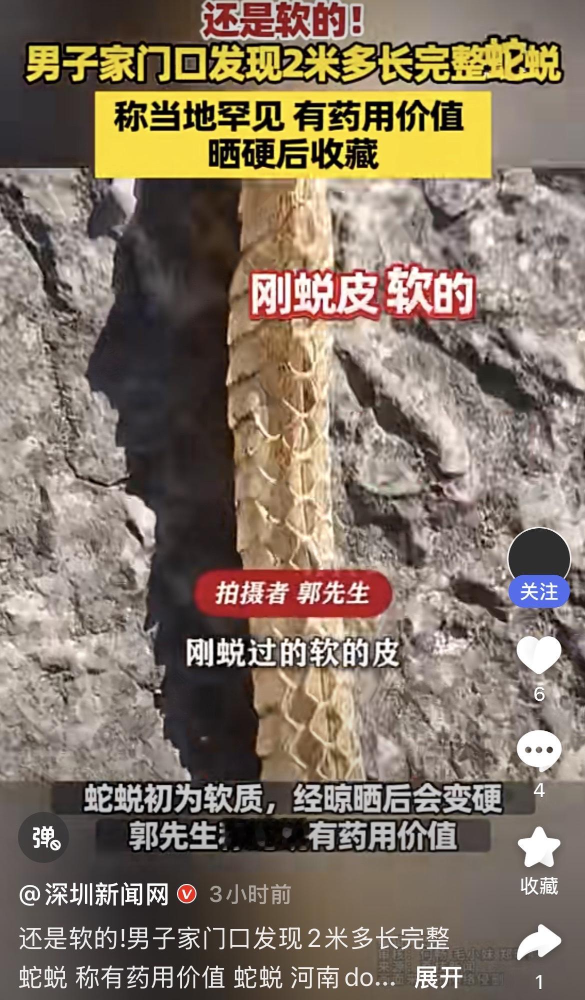 男子家门口发现
2米多长完整蛇蜕
非常罕见 有药用价值








河南焦作市民郭先生在家门口发现一段2米多长的完整蛇蜕。因刚蜕下不久，蛇蜕呈柔软的浅黄褐色，纹理清晰。郭先生表示，当地较少见，且蛇蜕有一定药用价值，打算晒干后收藏起来。这段经历经网络传播后，迅速引发网友热议。

蛇蜕从何而来？大概