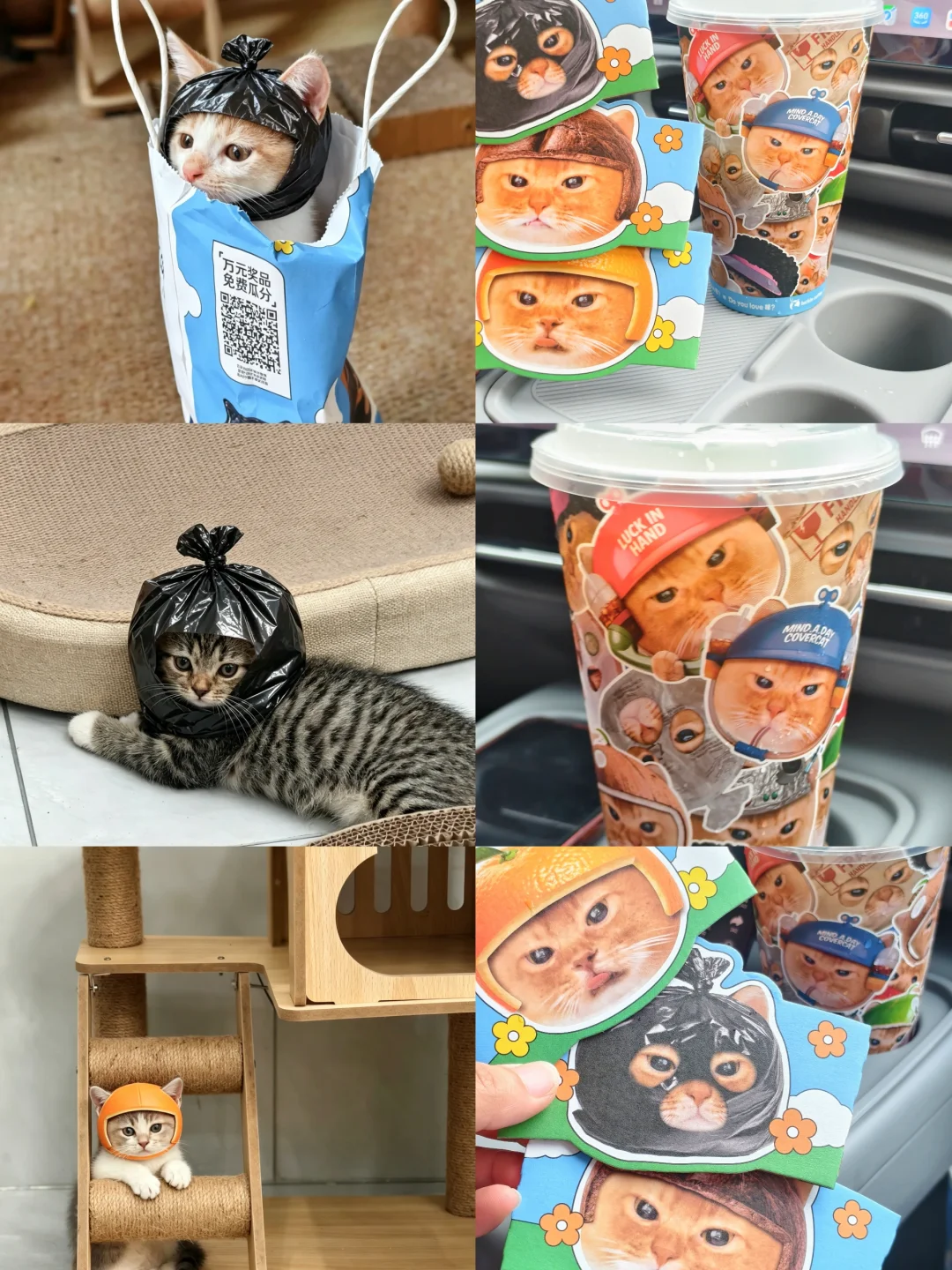 猫咪也有自己的周边了！！