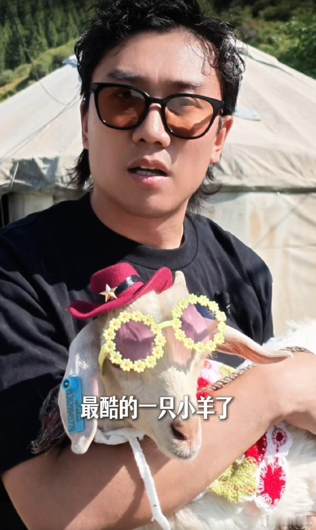 童话书里的小羊故事，居然让这对父子在新疆草原上真实重现了。原本计划很简单，买个玩偶就返程，结果半路突然多了只活羊。狗狗丁丁被任命为羊圈小官，小羊配齐墨镜围巾，全套装备统统装进腾势 N8L。大人世界里想不来的离谱情节，被一场自驾变成了活生生的名场面。 ​