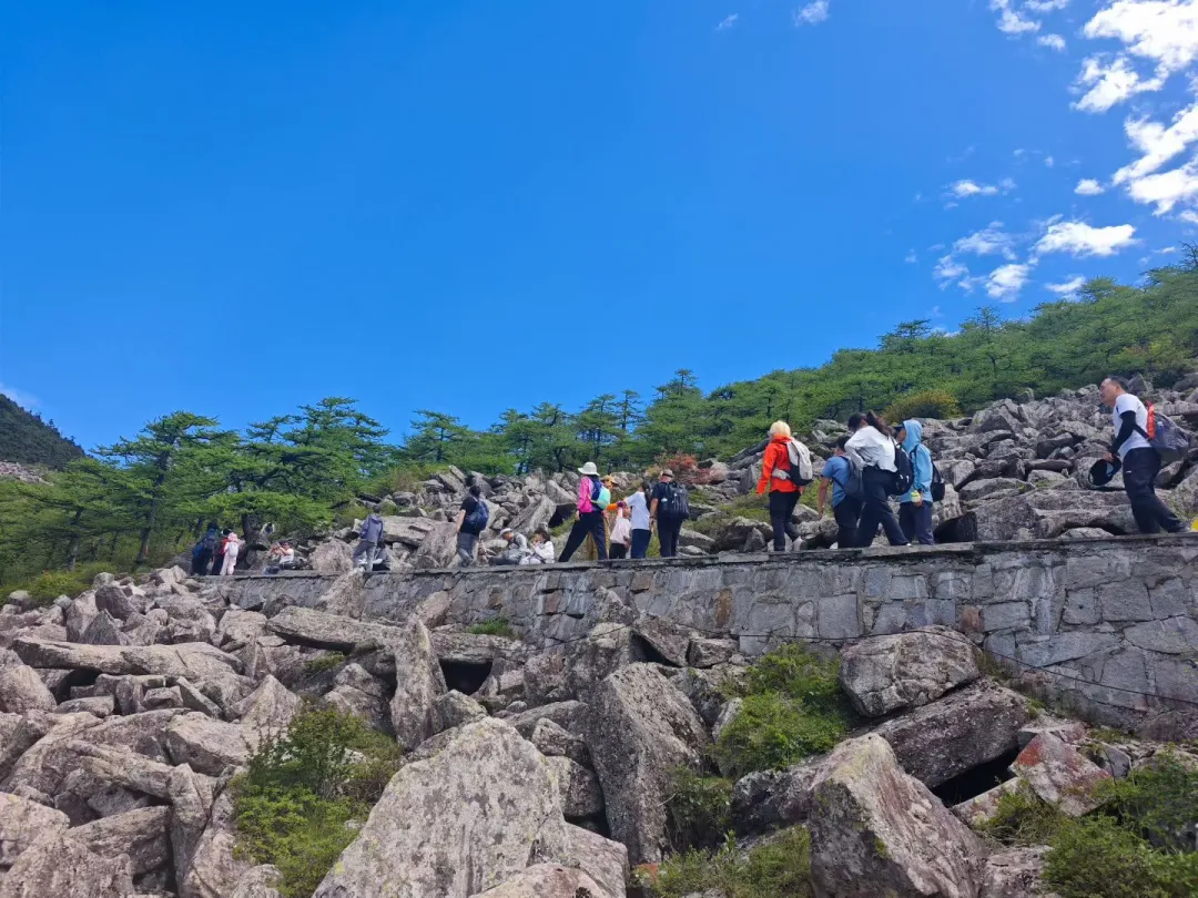 小小冰晶顶，累成小伞兵⛰️