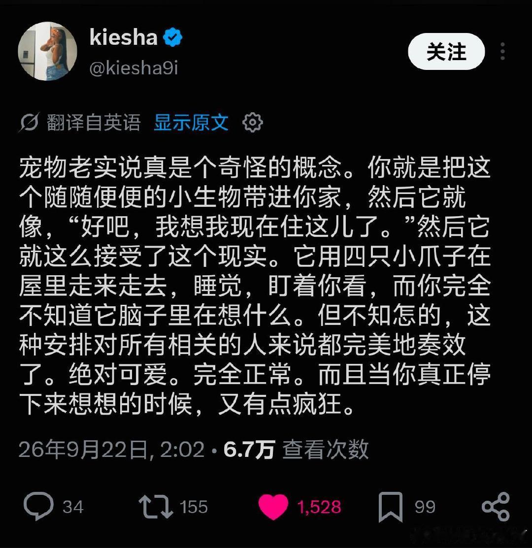 宠物真是个奇怪的概念 ​