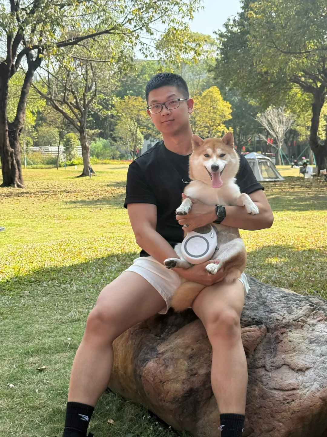 人放假，狗也放假