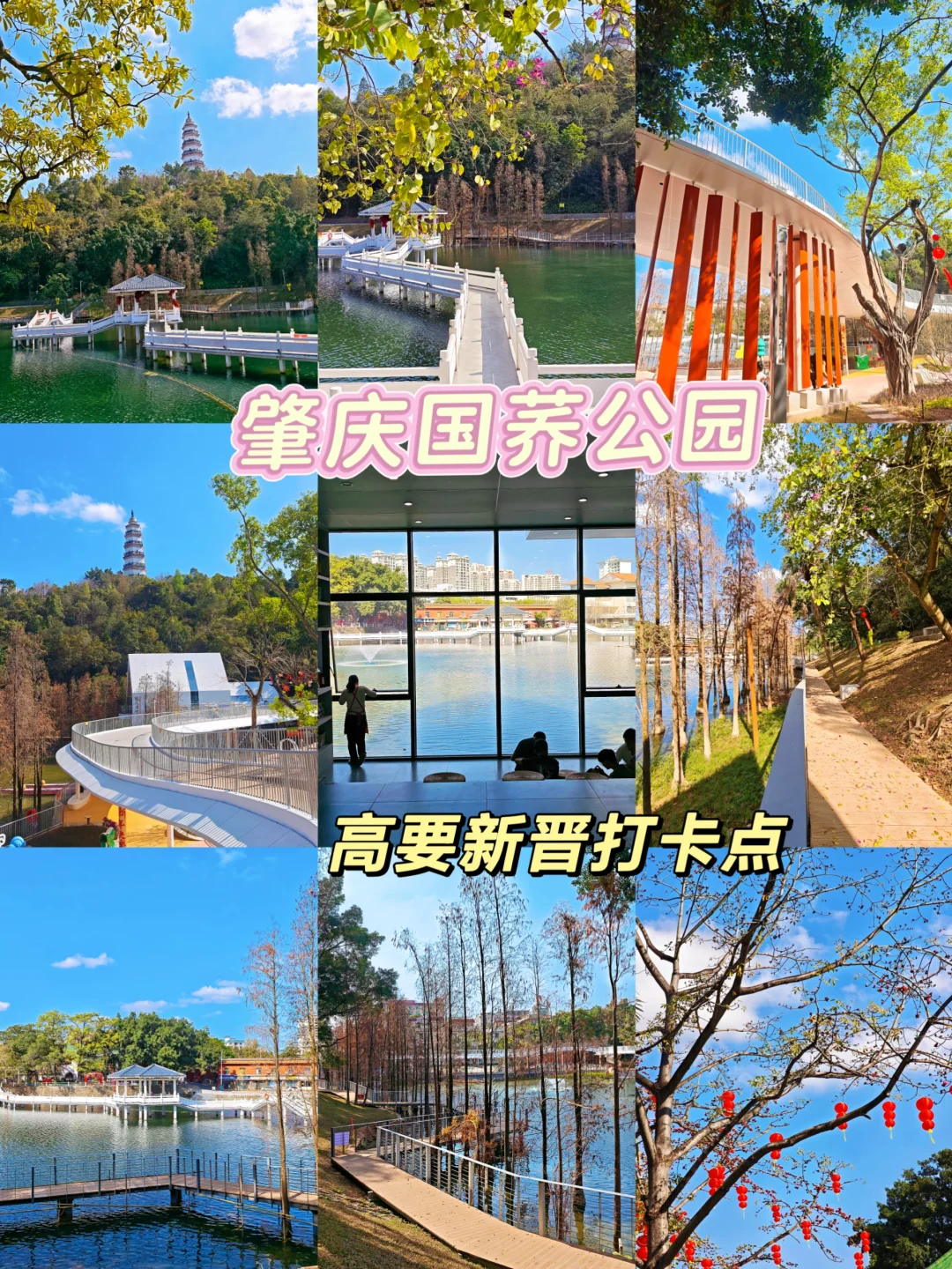 肇庆高要新晋打卡点！国荞公园遛娃好去处～